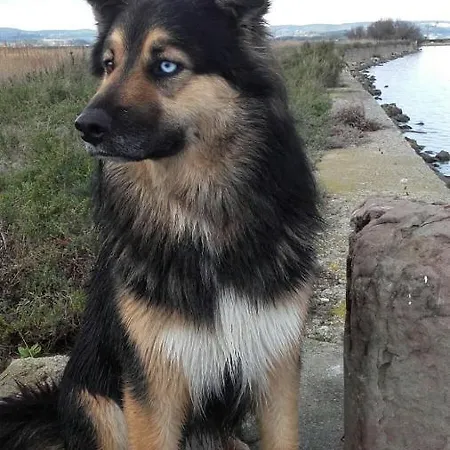 Dutournebelle Couette-café *