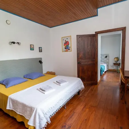 Dutournebelle * Narbonne